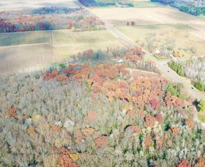 TBDx 165th Avenue SE, Santiago Twp, MN 55319