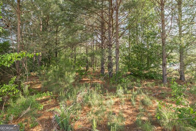 102 Clarks Court 96, Jackson, GA 30233
