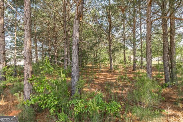 102 Clarks Court 96, Jackson, GA 30233