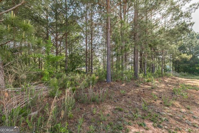 102 Clarks Court 96, Jackson, GA 30233