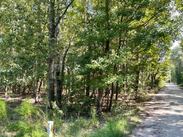 6444 St Anthony Drive, Yonges Island, SC 29449