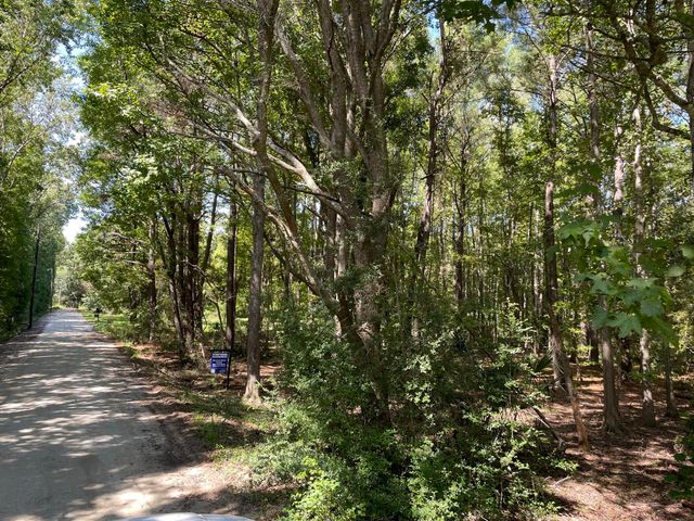 6444 St Anthony Drive, Yonges Island, SC 29449