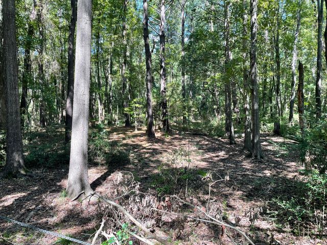 6444 St Anthony Drive, Yonges Island, SC 29449