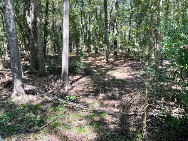 6444 St Anthony Drive, Yonges Island, SC 29449