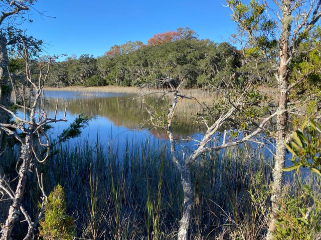 6444 St Anthony Drive, Yonges Island, SC 29449