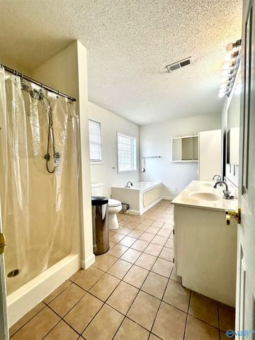 24887 Aubie Lane, Elkmont, AL 35620