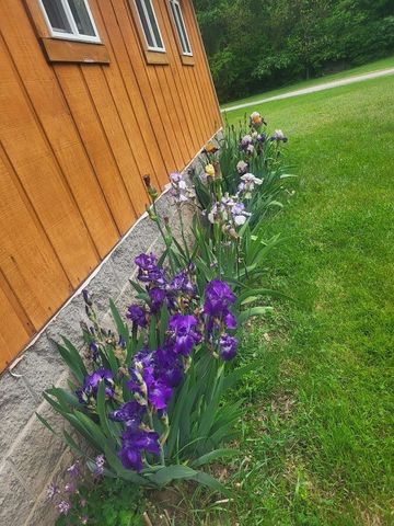 23536 Forest Shores Drive, Lagrange Twp, MI 49031