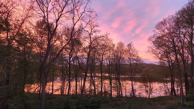 23536 Forest Shores Drive, Lagrange Twp, MI 49031