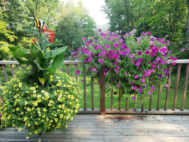 23536 Forest Shores Drive, Lagrange Twp, MI 49031