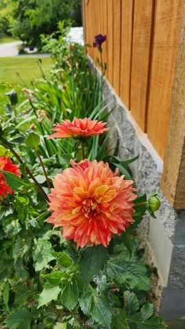 23536 Forest Shores Drive, Lagrange Twp, MI 49031