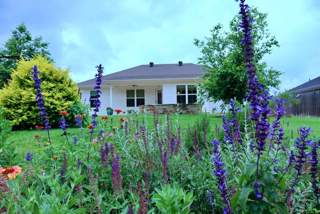 111 Lainey Lane, Mineola, TX 75773