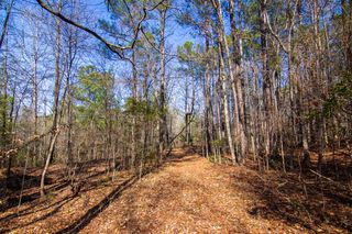 0 Kings Gap Road, Hamilton, GA 31811