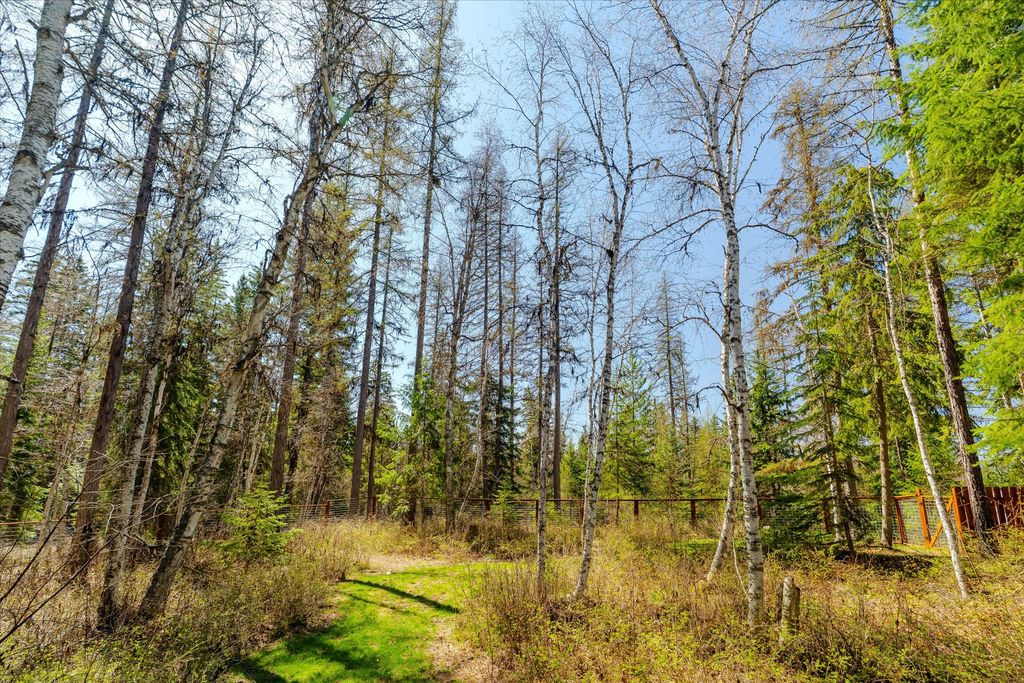 675 Beaver Lake Road, Whitefish, MT 59937 photo 12