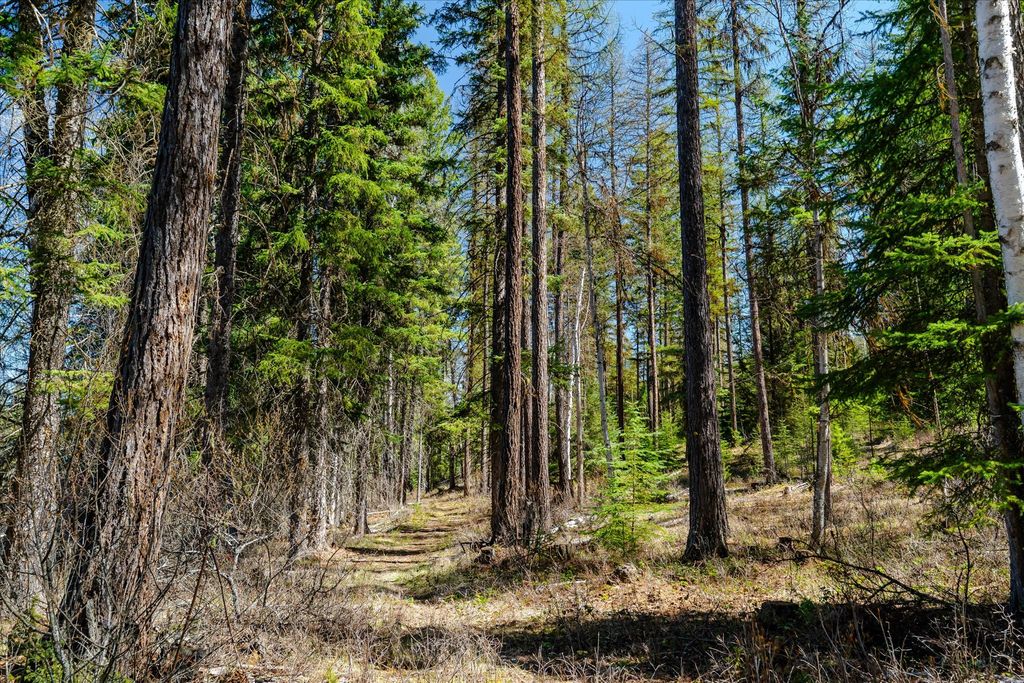 675 Beaver Lake Road, Whitefish, MT 59937 photo 13