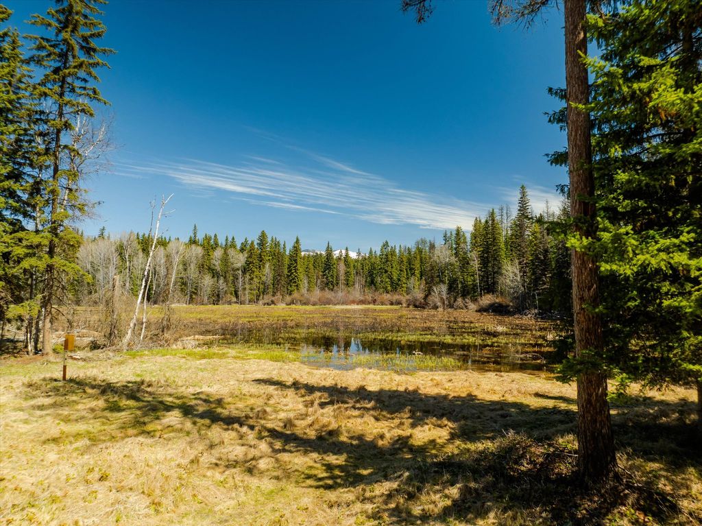 675 Beaver Lake Road, Whitefish, MT 59937 photo 20