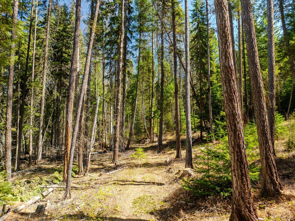 675 Beaver Lake Road, Whitefish, MT 59937 photo 25