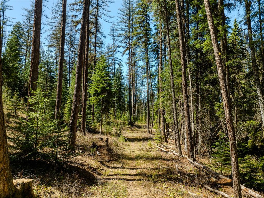 675 Beaver Lake Road, Whitefish, MT 59937 photo 26