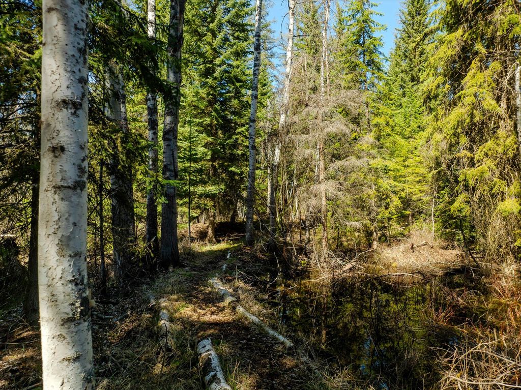 675 Beaver Lake Road, Whitefish, MT 59937 photo 27