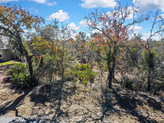 0 Meinert Avenue, Brooksville, FL 34613