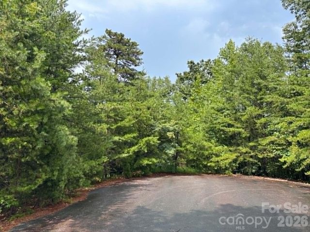 TBD Fire Tower Road, Bostic, NC 28018