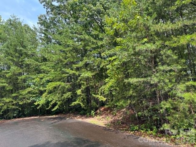 TBD Fire Tower Road, Bostic, NC 28018