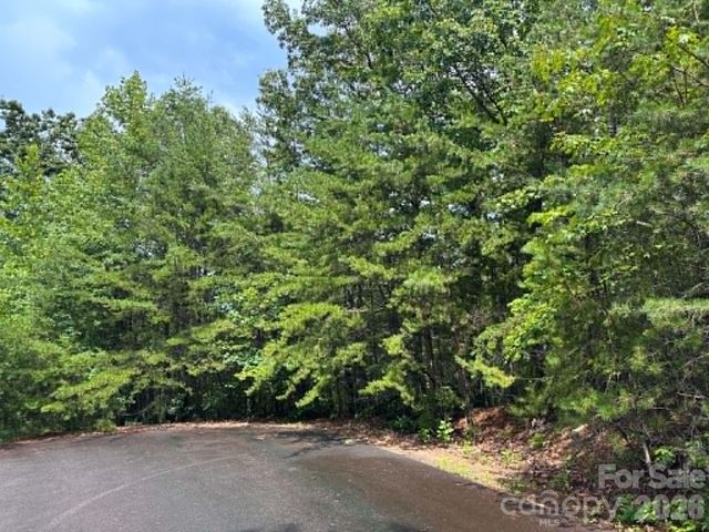 TBD Fire Tower Road, Bostic, NC 28018