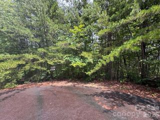 TBD Fire Tower Road, Bostic, NC 28018