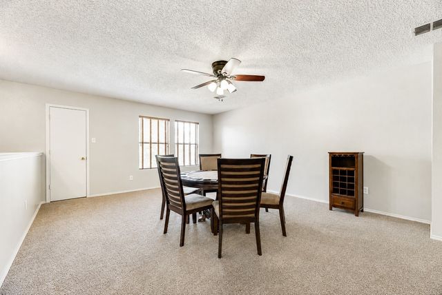2517 Brinlee Branch Lane, Mckinney, TX 75071