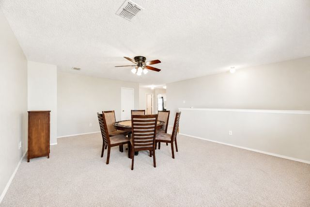 2517 Brinlee Branch Lane, Mckinney, TX 75071
