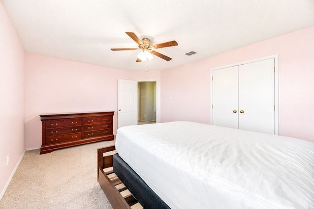2517 Brinlee Branch Lane, Mckinney, TX 75071