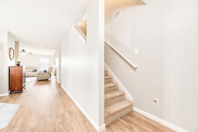 2517 Brinlee Branch Lane, Mckinney, TX 75071