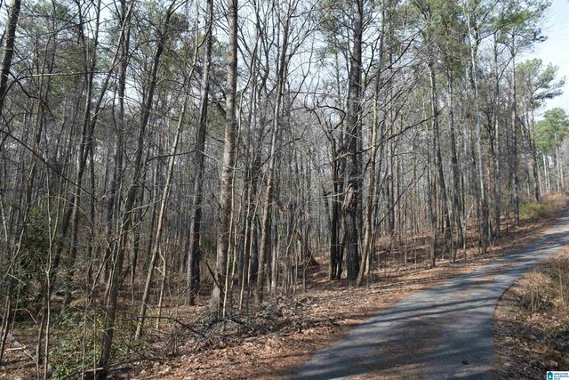 1200 PINE RIDGE CIRCLE, Sylacauga, AL 35150