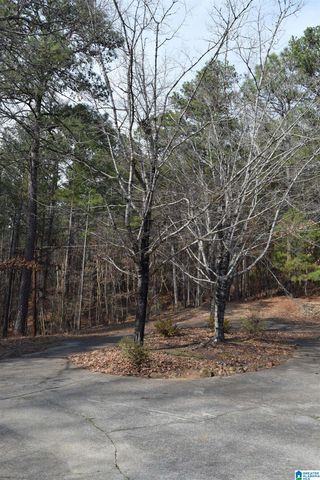 1200 PINE RIDGE CIRCLE, Sylacauga, AL 35150