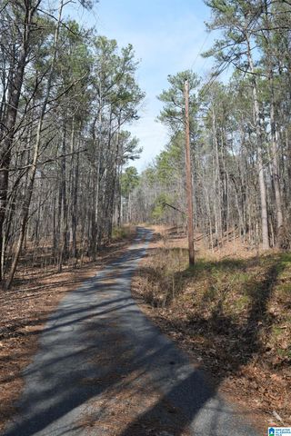 1200 PINE RIDGE CIRCLE, Sylacauga, AL 35150