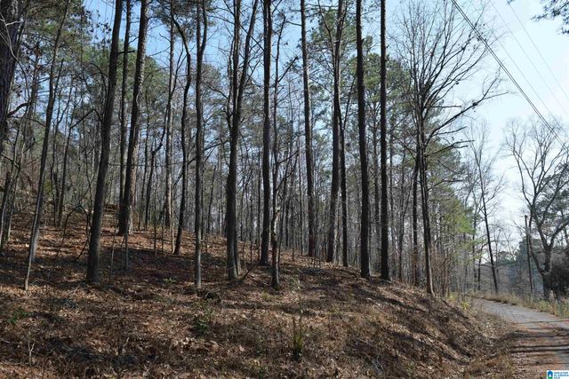 1200 PINE RIDGE CIRCLE, Sylacauga, AL 35150