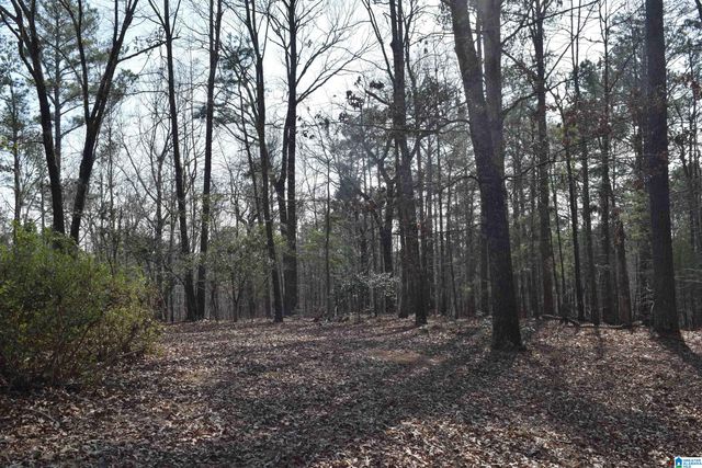 1200 PINE RIDGE CIRCLE, Sylacauga, AL 35150