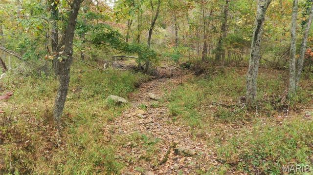 100 Cool Breeze Lane, Fredericktown, MO 63645