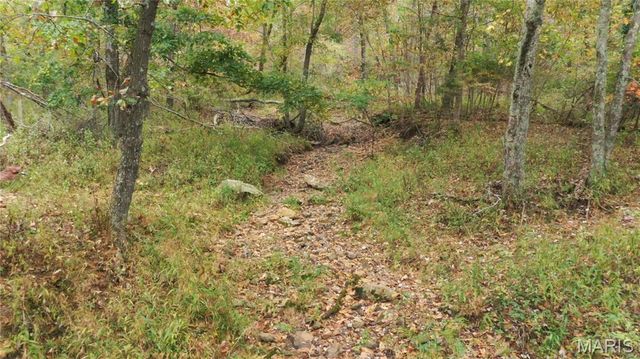100 Cool Breeze Lane, Fredericktown, MO 63645
