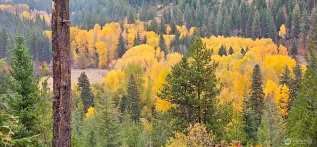 11411 Shugart Flats Road, Leavenworth, WA 98826