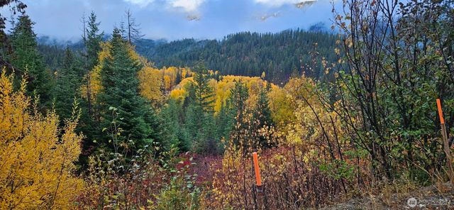 11411 Shugart Flats Road, Leavenworth, WA 98826