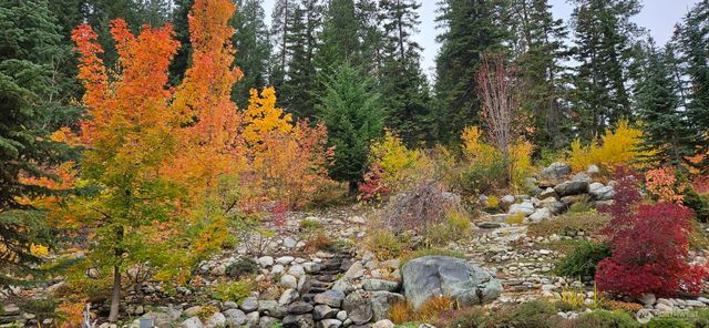 11411 Shugart Flats Road, Leavenworth, WA 98826