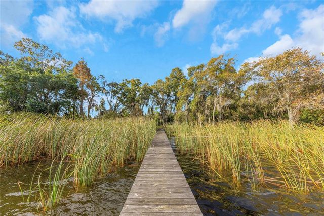 2661 CYPRUS DRIVE, Palm Harbor, FL 34684