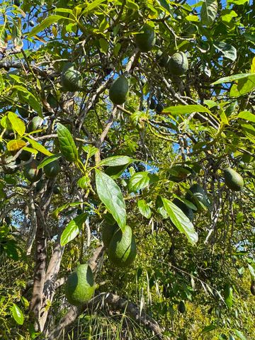 710 Buena Creek Road, San Marcos, CA 92069