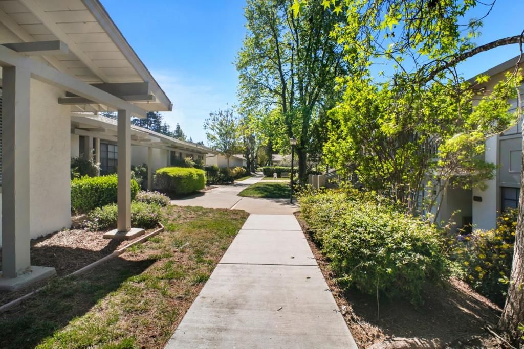 5311 Cribari, San Jose, CA 95135