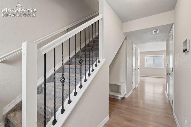 4159 Samaritan Loop, Colorado Springs, CO 80916