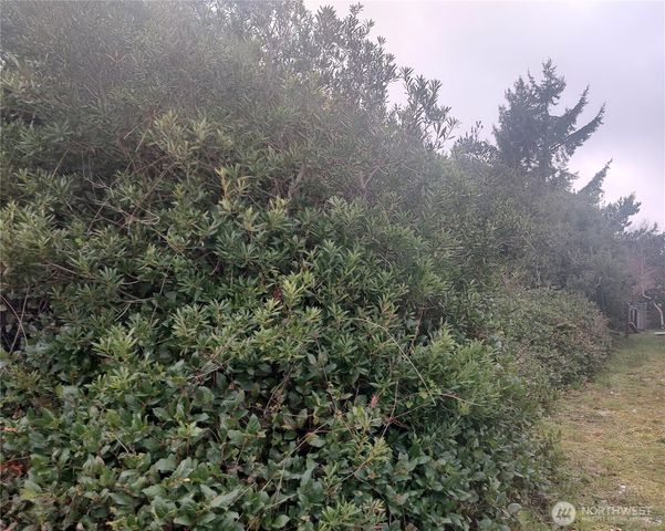 601 Ocean Shores Boulevard SW, Ocean Shores, WA 98569