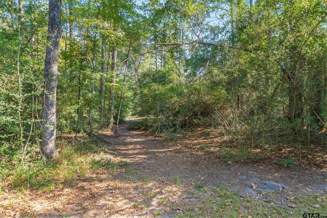 120 Bluewing Ridge, Holly Lake Ranch, TX 75765
