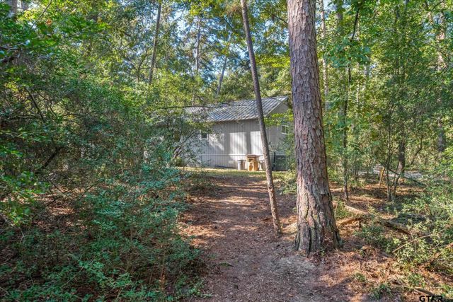 120 Bluewing Ridge, Holly Lake Ranch, TX 75765