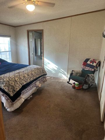 536 Apricot Lane, Reeds Spring, MO 65737