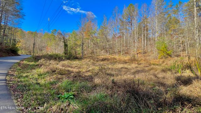 8 LOTS Grassy Branch Loop, Sevierville, TN 37876
